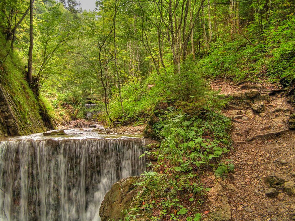 Wanderweg entlang des Hammerergrabens zur Feldlahnalm